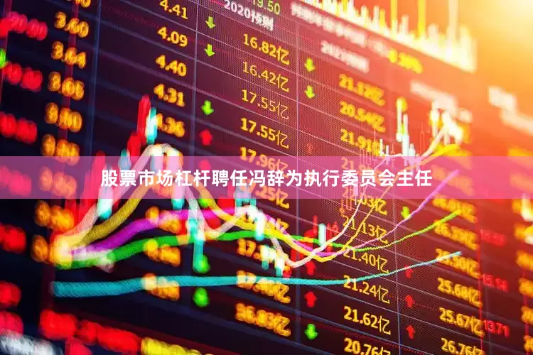 股票市场杠杆聘任冯辞为执行委员会主任
